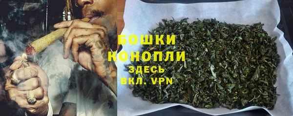 тгк Нея