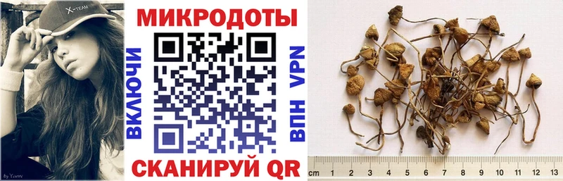 Галлюциногенные грибы Psilocybine cubensis  MEGA ссылки  Нальчик 