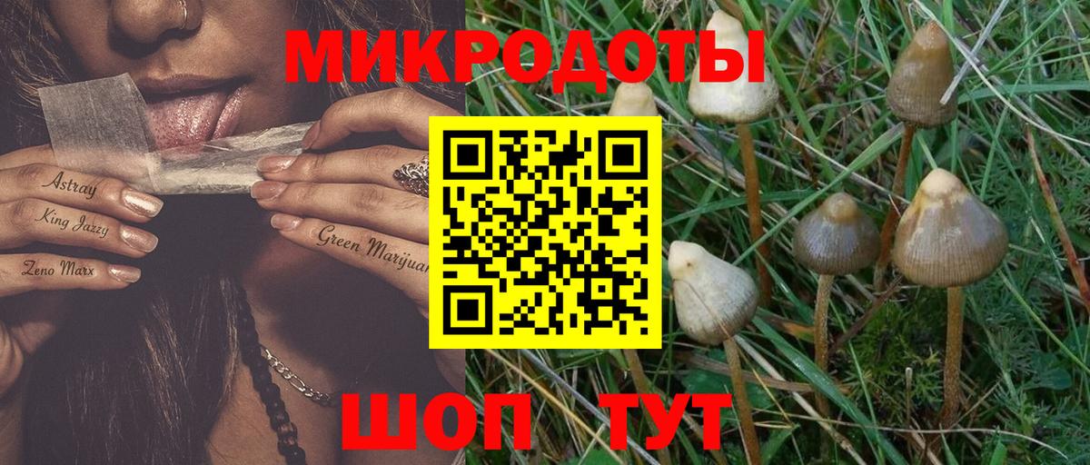 Псилоцибиновые грибы GOLDEN TEACHER  Вход с VPN  Нальчик  Псилоцибиновые грибы прущие грибы 