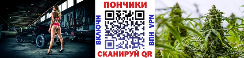 купить закладку  Нальчик  Каннабис семена 